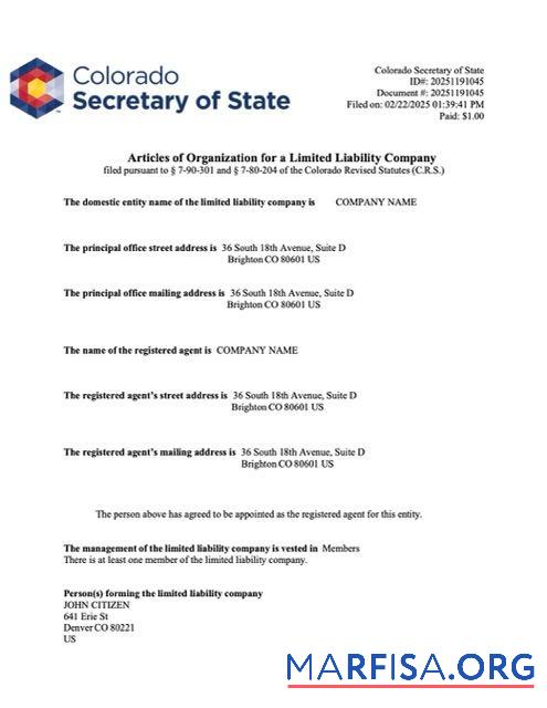 Blank USA Colorado articles of organization Word and PDF template, version 2